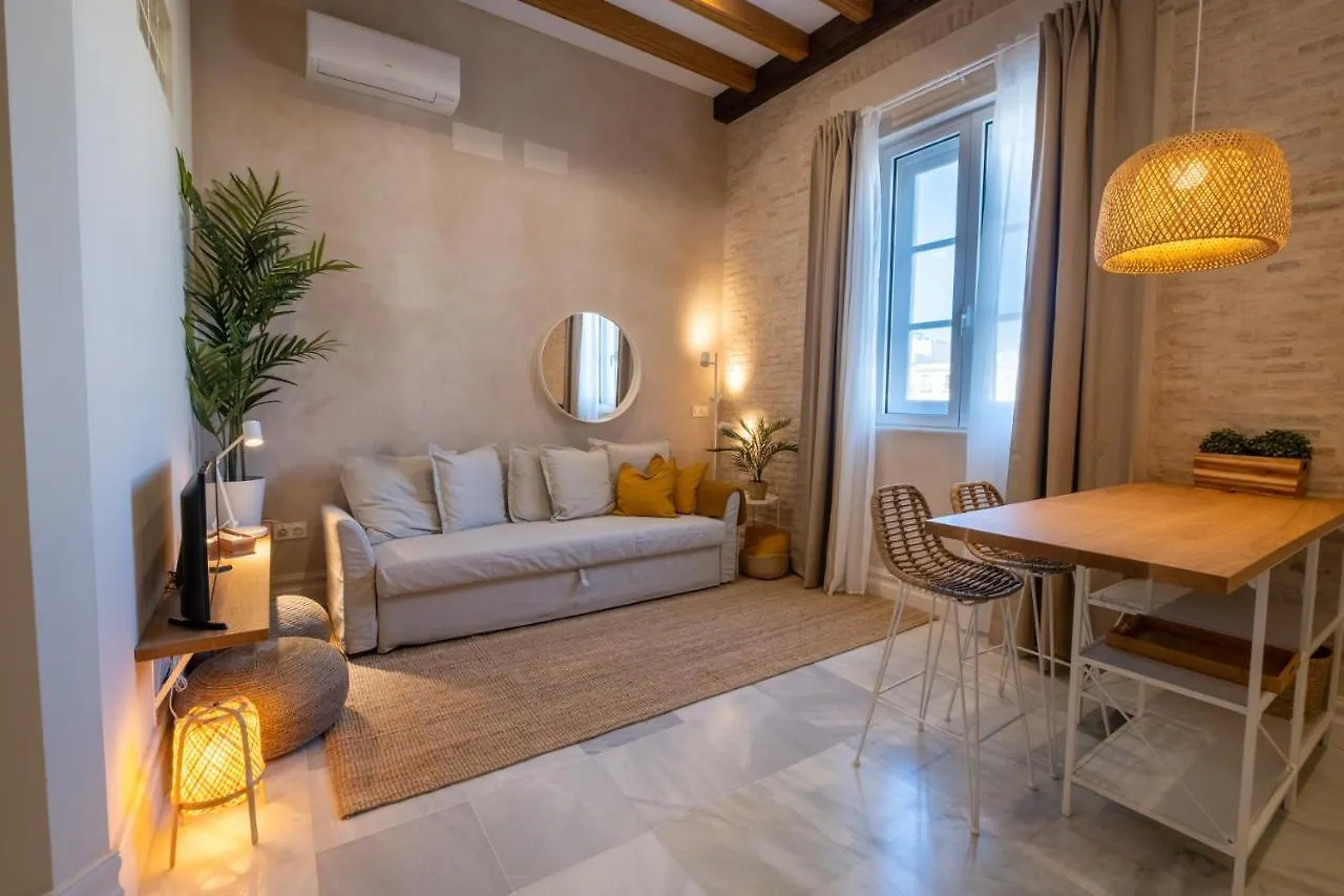 Inncadizcasa Apolo